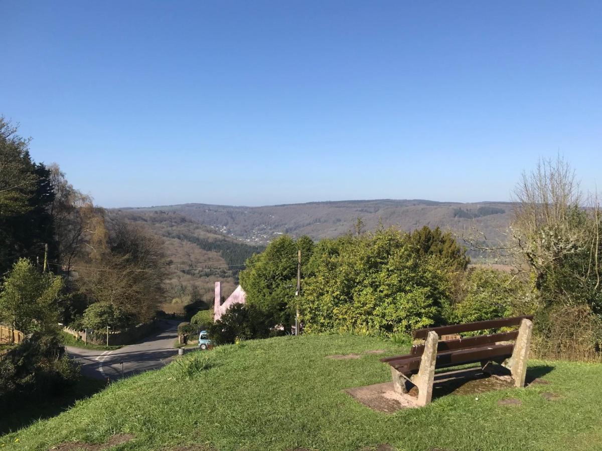 Sunnyview Annexe Villa Saint Briavels Kültér fotó